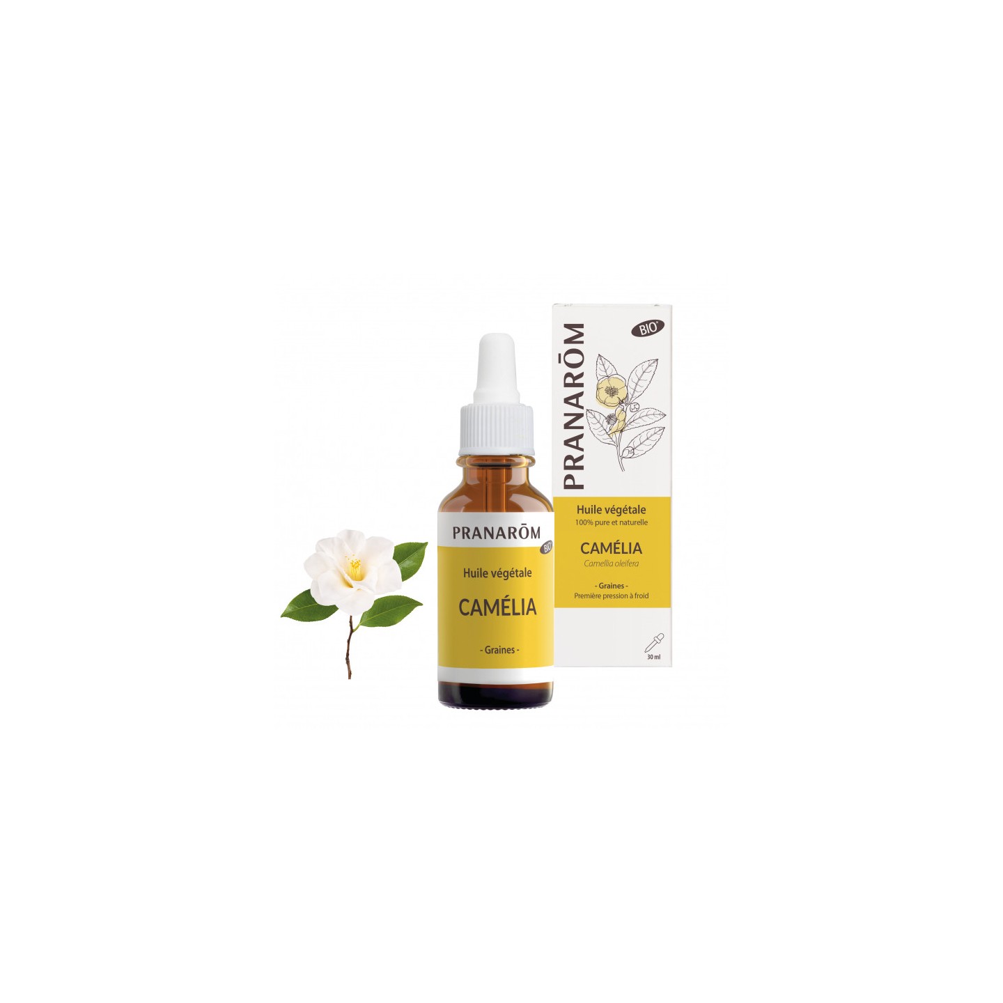 Pranarôm Huile végétale Camélia Bio - 30ml