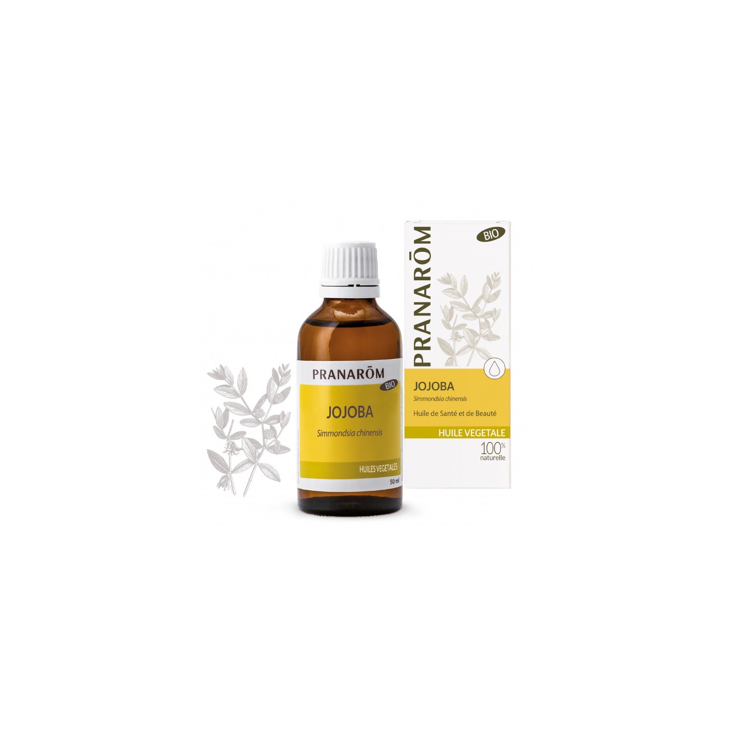 Pranarôm Huile végétale Jojoba Bio - 50ml