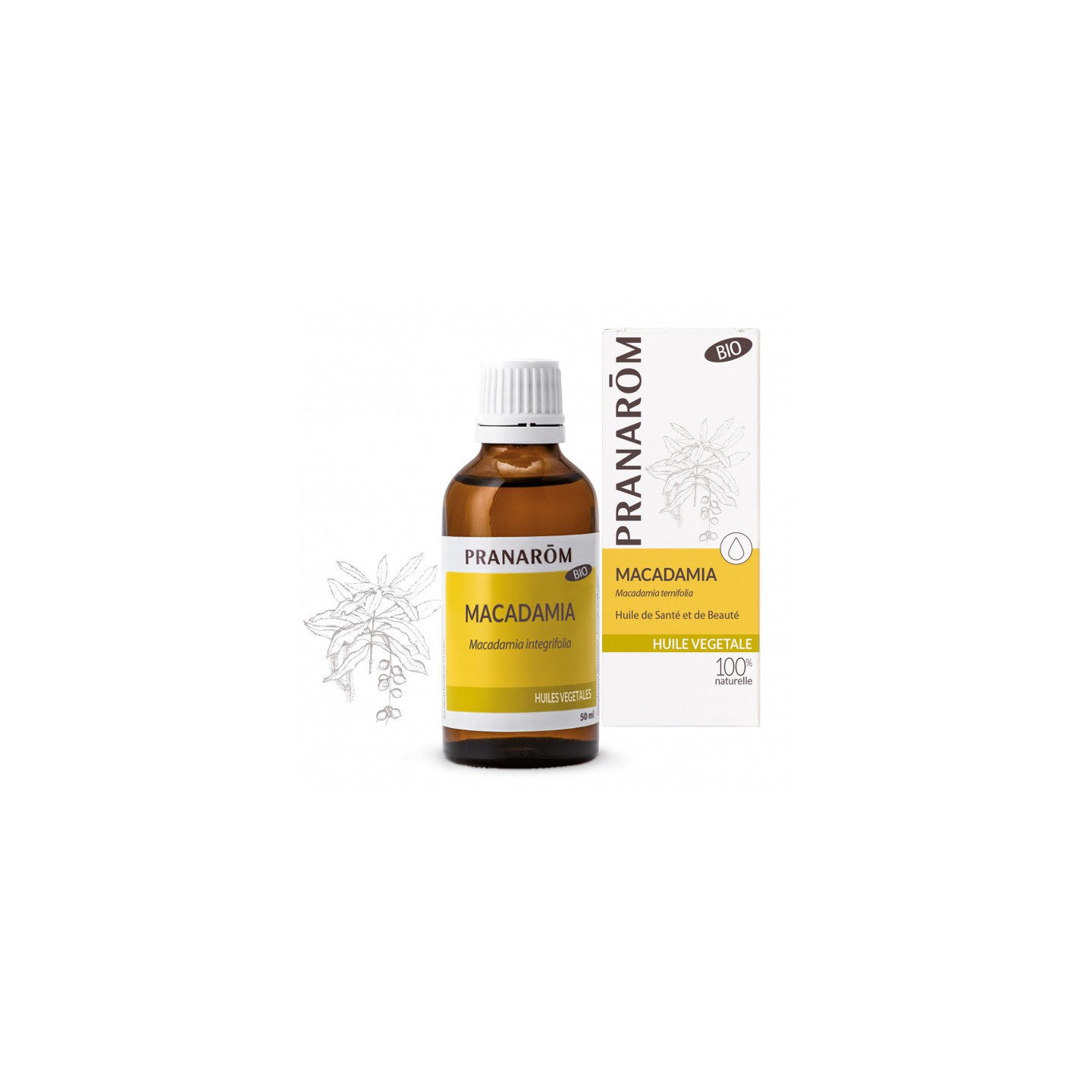 Pranarôm Huile végétale Macadamia Bio - 50ml