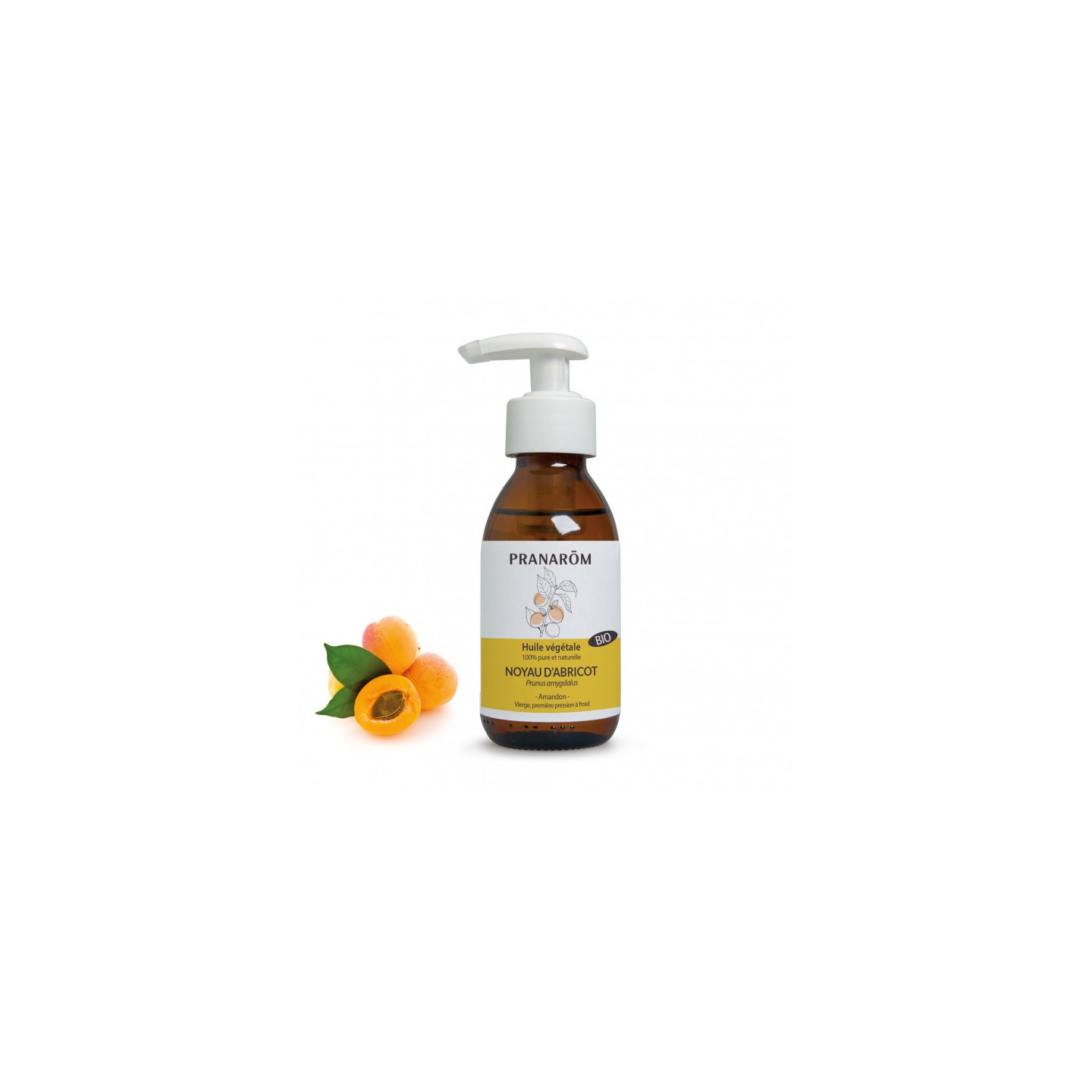 Pranarôm Huile végétale Noyau d'abricot Bio - 100ml