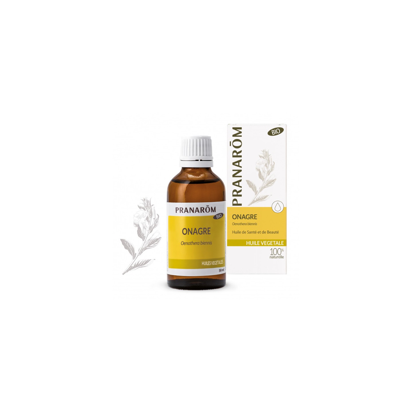 Pranarôm Huile végétale Onagre Bio - 50ml