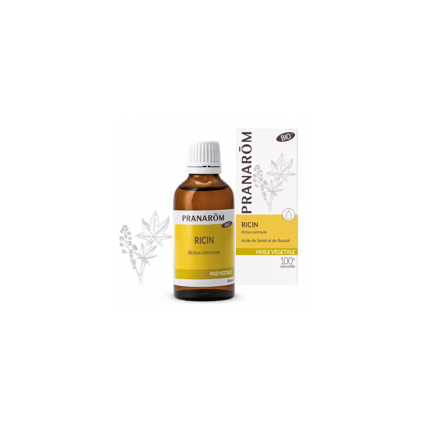 Pranarôm Huile végétale Ricin Bio - 50ml