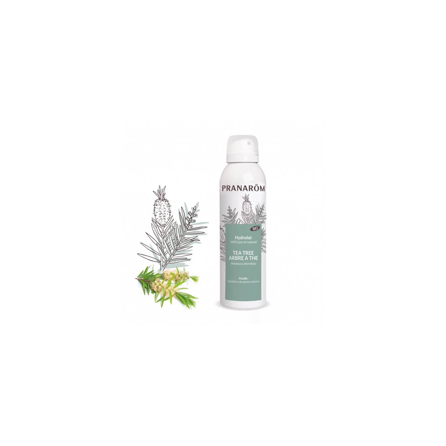 Pranarôm Hydrolat Tea Tree - Arbre à thé Bio - 150ml