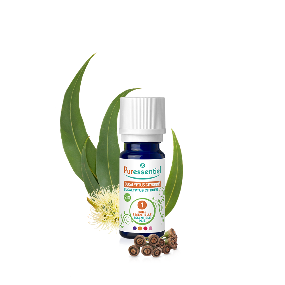 Huile Essentielle Eucalyptus Citronné BIO