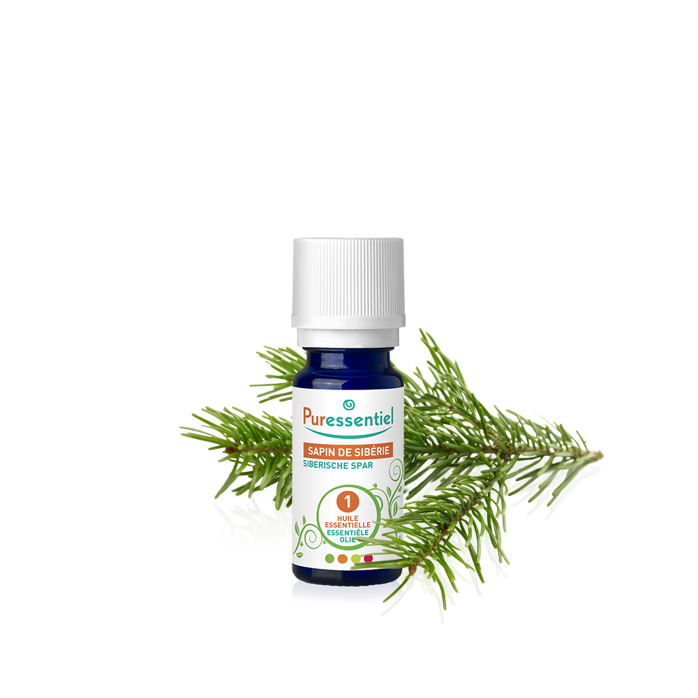Huile Essentielle Sapin de Sibérie