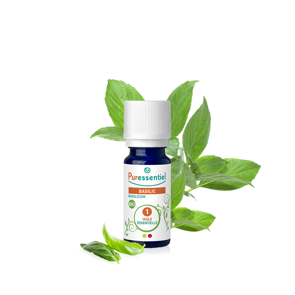 Huile Essentielle Basilic BIO