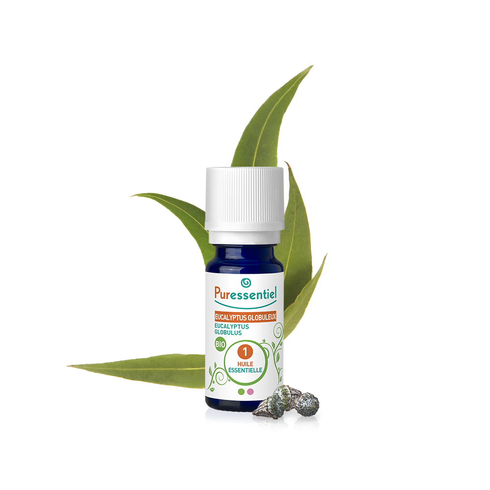 Huile Essentielle Eucalyptus Globuleux BIO