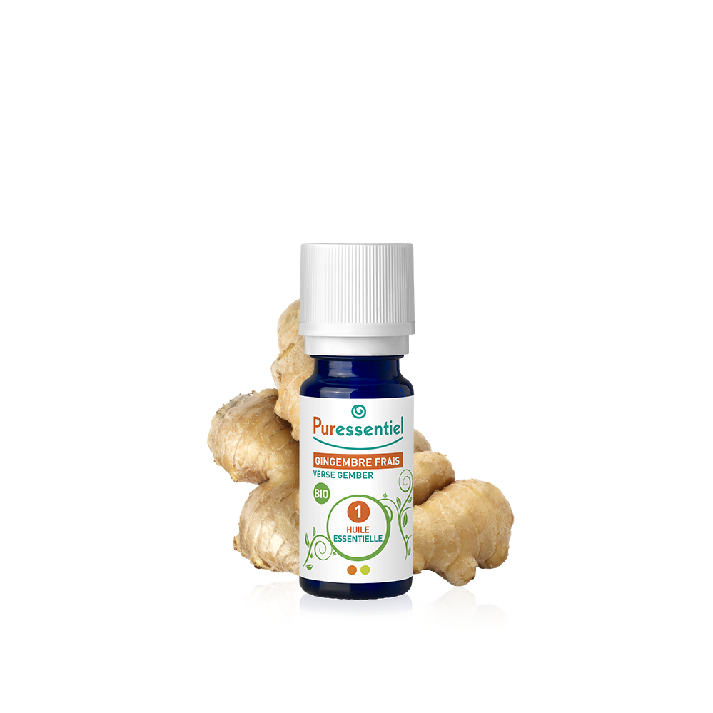 Huile Essentielle Gingembre Frais BIO