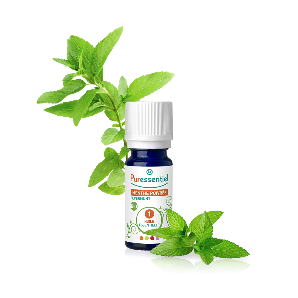 Huile Essentielle Menthe Poivrée BIO