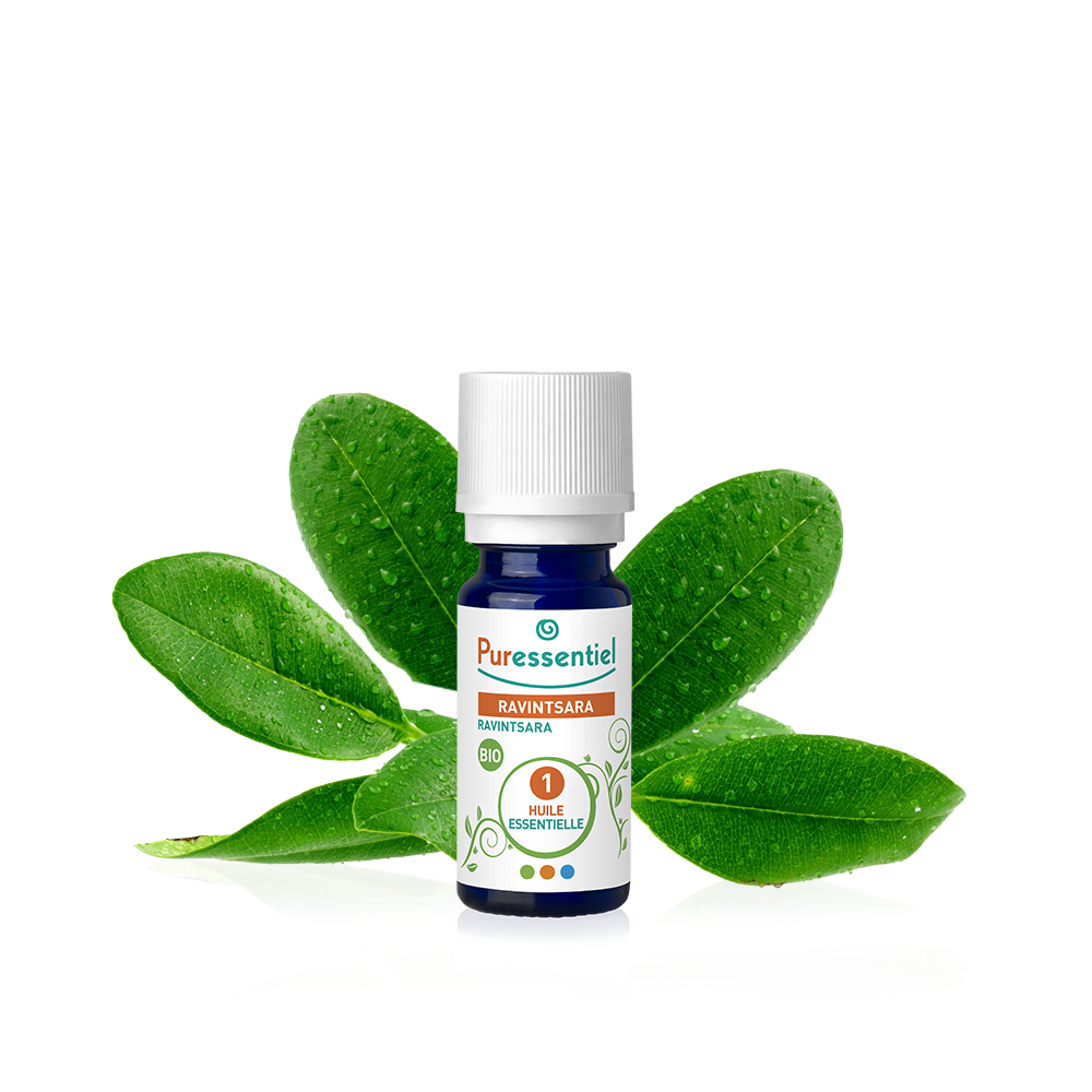 Huile Essentielle Ravintsara BIO