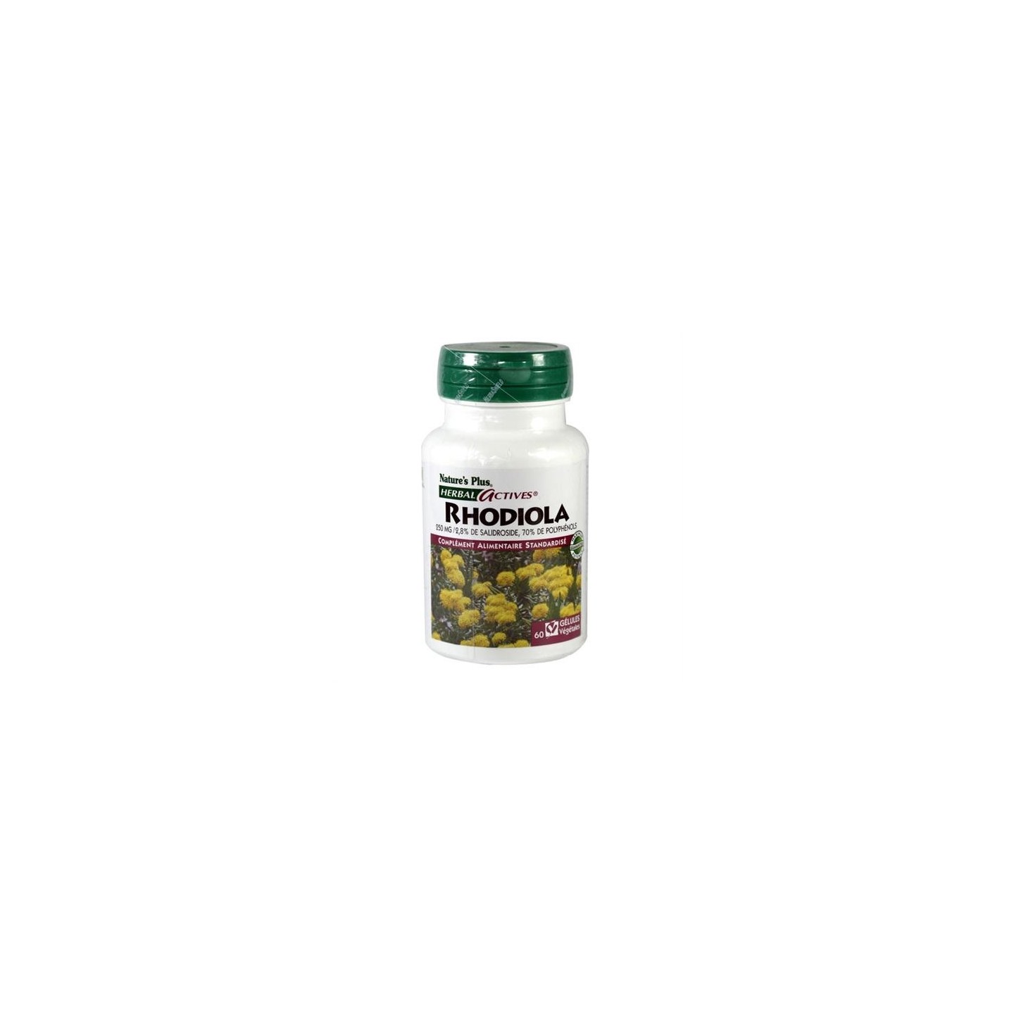 Rhodiola 60 gélules Nature's Plus