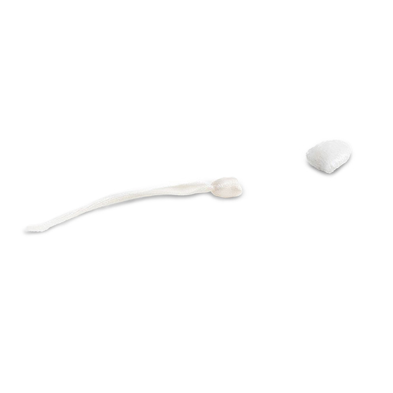 Modèle anatomique spermatozoïde avec aimant en tissu